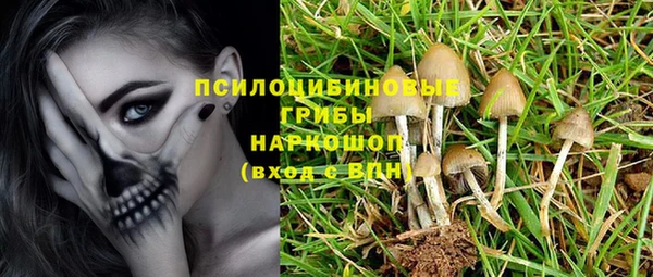 PSILOCYBIN Горнозаводск