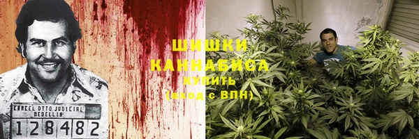 PSILOCYBIN Горнозаводск