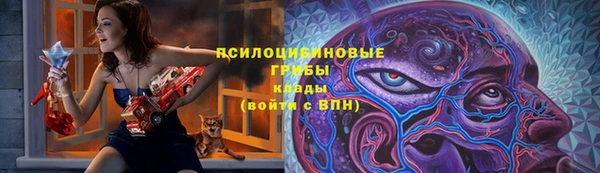 PSILOCYBIN Горнозаводск